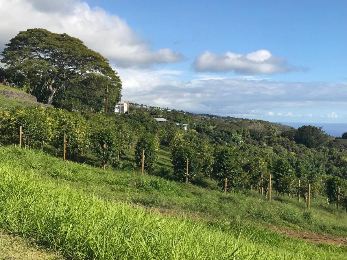 Nohokai At Kona Joe Coffee Farm Hotel Kealakekua Exterior photo